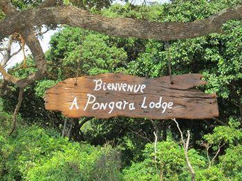 ליברוויל Pongara Lodge מראה חיצוני תמונה